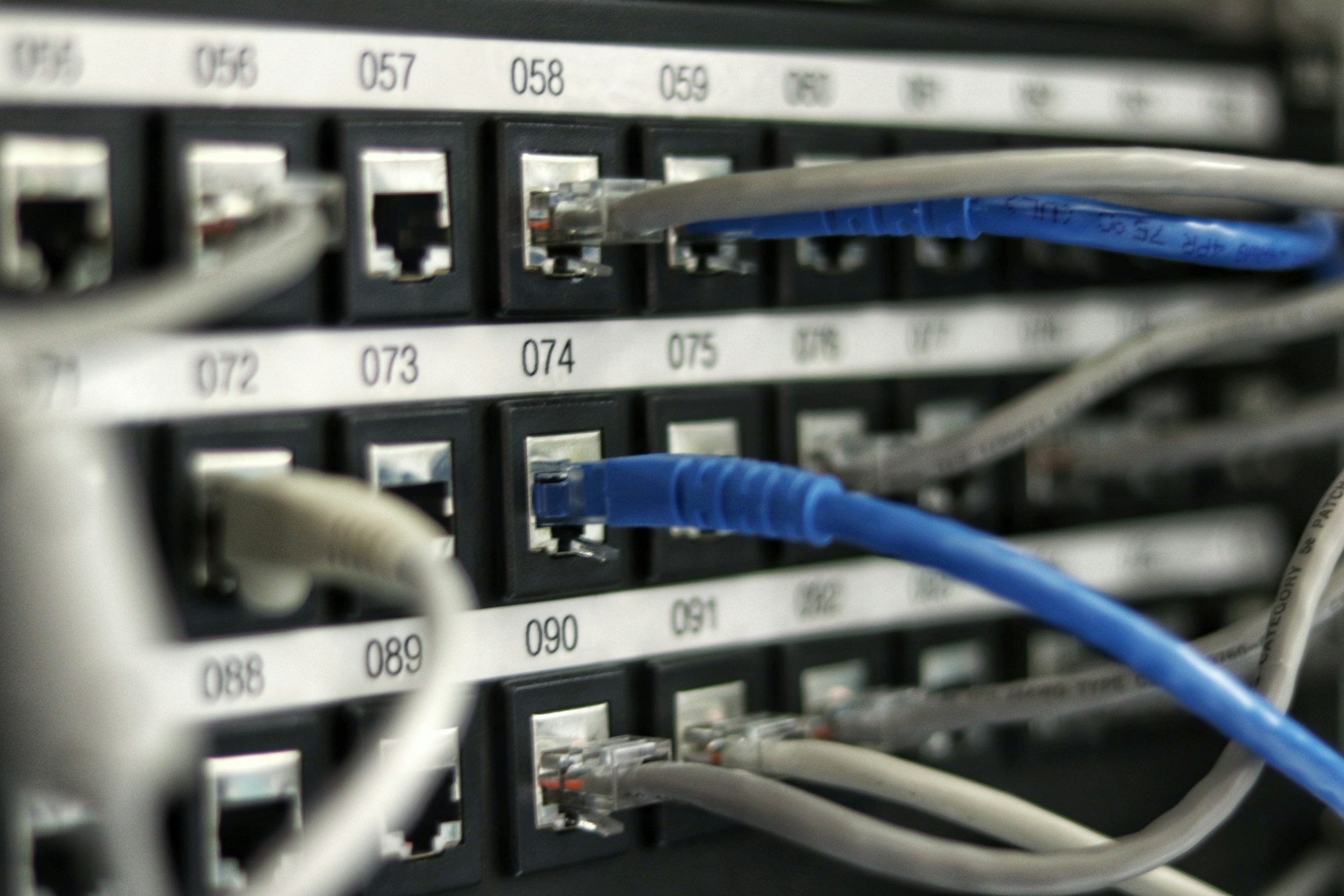 Network cables plugged into a switch
